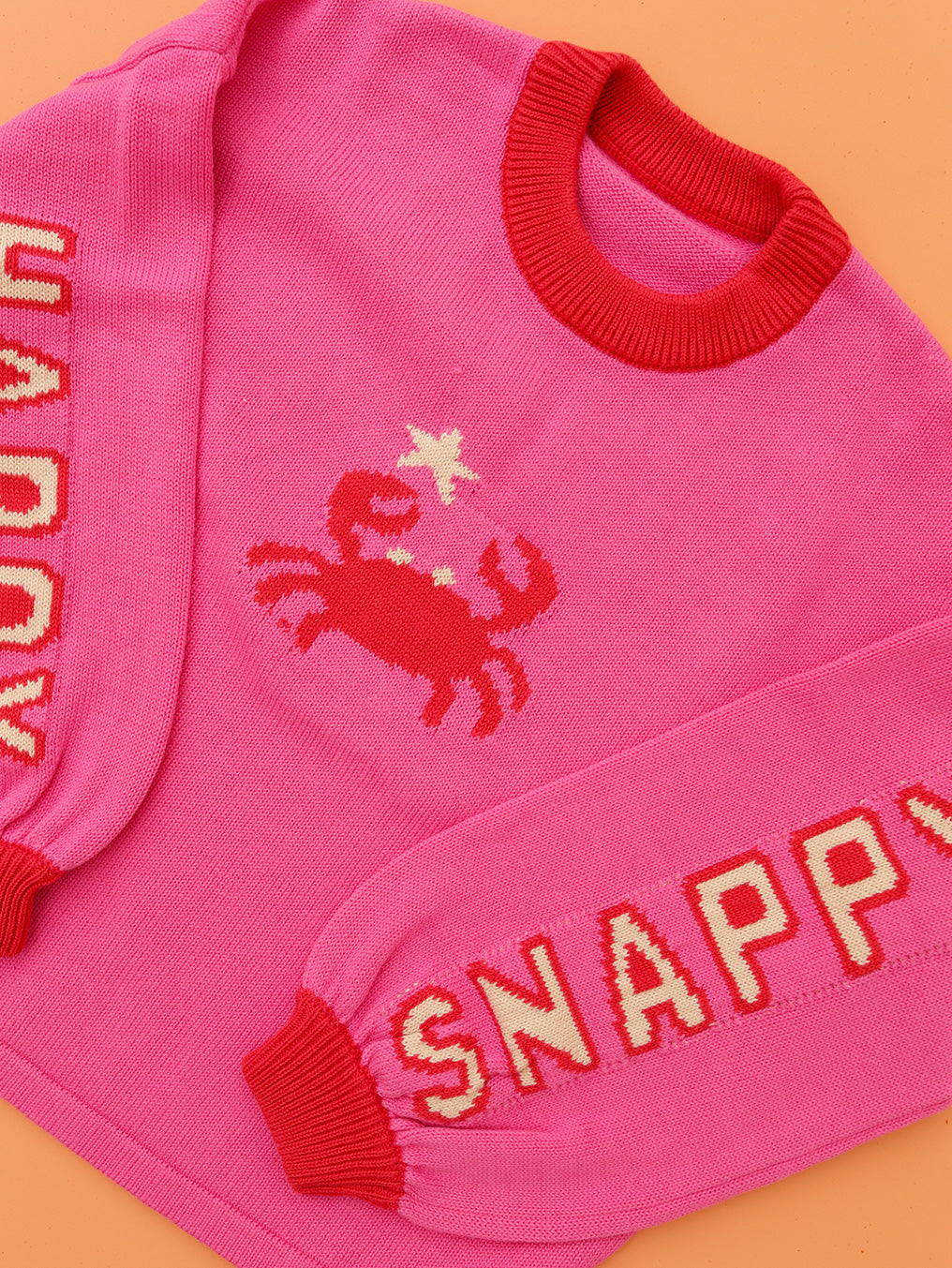 Snap Happy Jumper