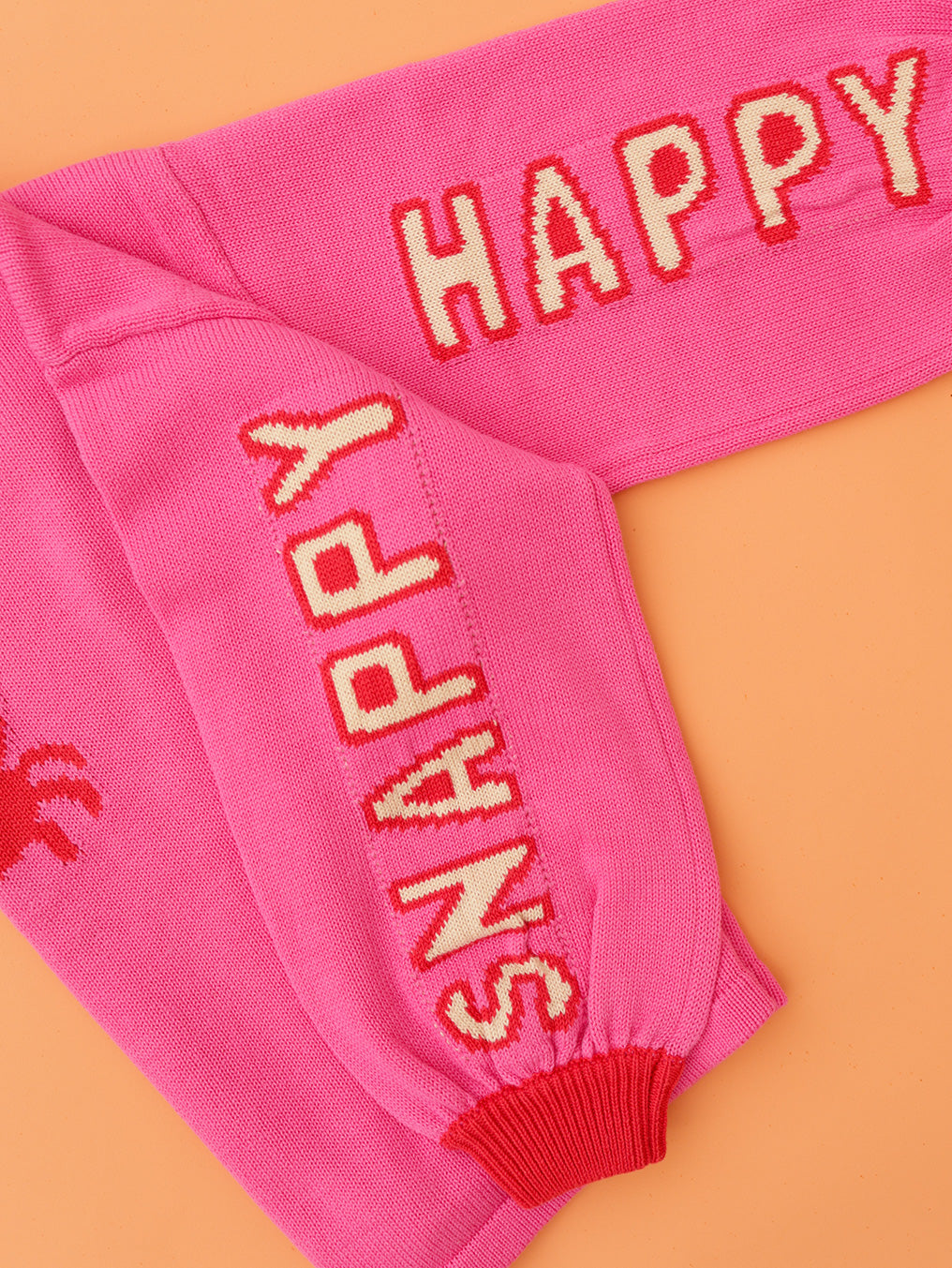 Snap Happy Jumper