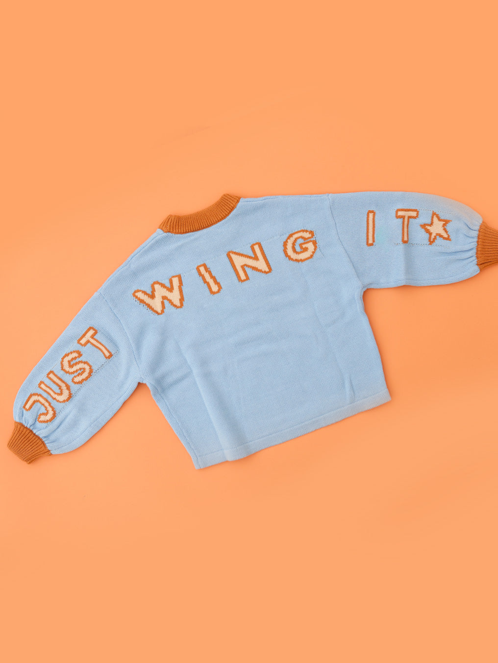 Just Wing It Knit Pullover